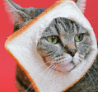 breadcatmeme Slack emoji