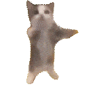 happy cat Slack emoji
