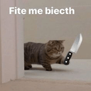fite me biecthq Slack emoji