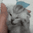cat voice Slack emoji