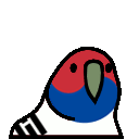 korea parrot Slack emoji