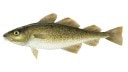 cod Slack emoji