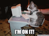 cat im on it Slack emoji