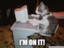 im on it cat Slack emoji