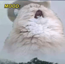 mood2catq Slack emoji