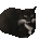 maxwell cat Slack emoji