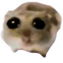 sadhamster Slack emoji