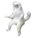 persian cat room guardian wat Slack emoji