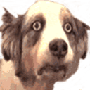 trauma response Slack emoji