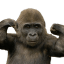 monkstrongq Slack emoji