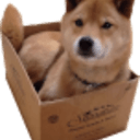 boxshibaq Slack emoji