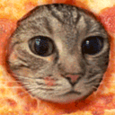 catpizza e Slack emoji