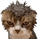 wetcattongueq Slack emoji