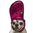 crocdoggoq Slack emoji
