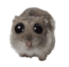 imsad Slack emoji