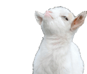 goatsass e Slack emoji