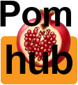 pom hub pomegranate Slack emoji