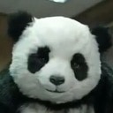 cheese panda Slack emoji