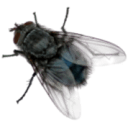 fly real e Slack emoji