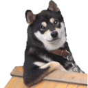 cool dog e Slack emoji