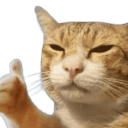 cat liked e Slack emoji
