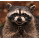 evil raccoon Slack emoji