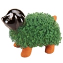 chia pet Slack emoji