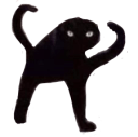 yyy cat Slack emoji