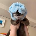 otterblanky Slack emoji