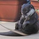 sadotter Slack emoji