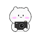 cute bear camera snap Slack emoji
