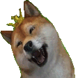 doge crown e Slack emoji