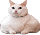 chonk e Slack emoji