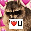 luvyou rcoonq Slack emoji
