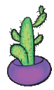 cactus e Slack emoji