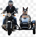 roadtrip Slack emoji