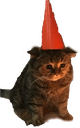 cat hat partyq Slack emoji