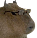 capy glassesq Slack emoji