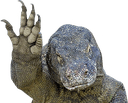 hi komodoq Slack emoji