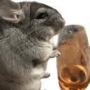 chinchilla roseq Slack emoji