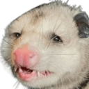 strugglepossumq Slack emoji