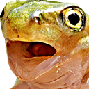 frog open mouth surprised Slack emoji
