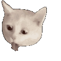 gag cat e Slack emoji
