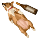 bottle dog e Slack emoji
