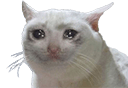 cat cry Slack emoji