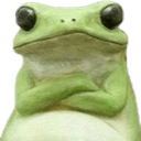 frog judgmntq Slack emoji