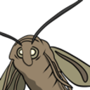 moth e Slack emoji