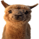 llama hi e Slack emoji