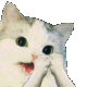clap kitten e Slack emoji