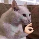 ok cat Slack emoji
